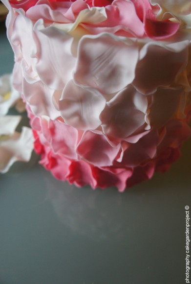 cake petali