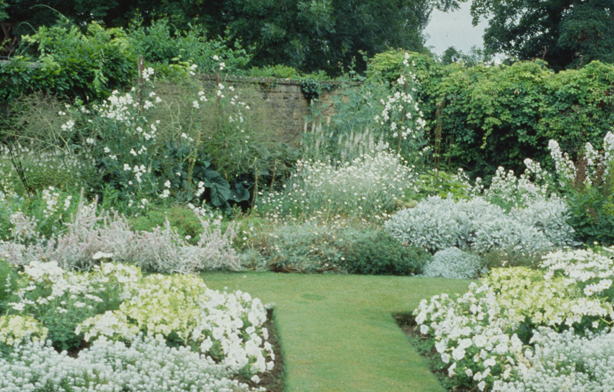 un-giardino-bianco-per-torta-e-il-white-garden-di-vita