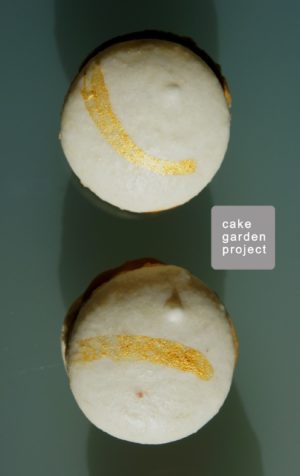 macarons-con-mou-salato