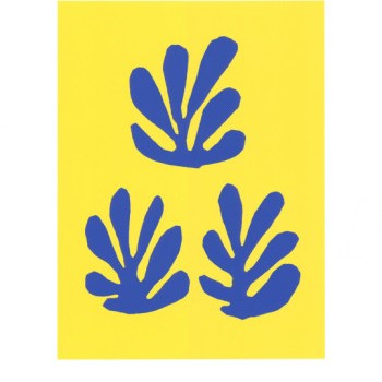 fiori di Matisse